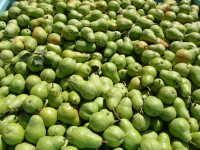 Pears.